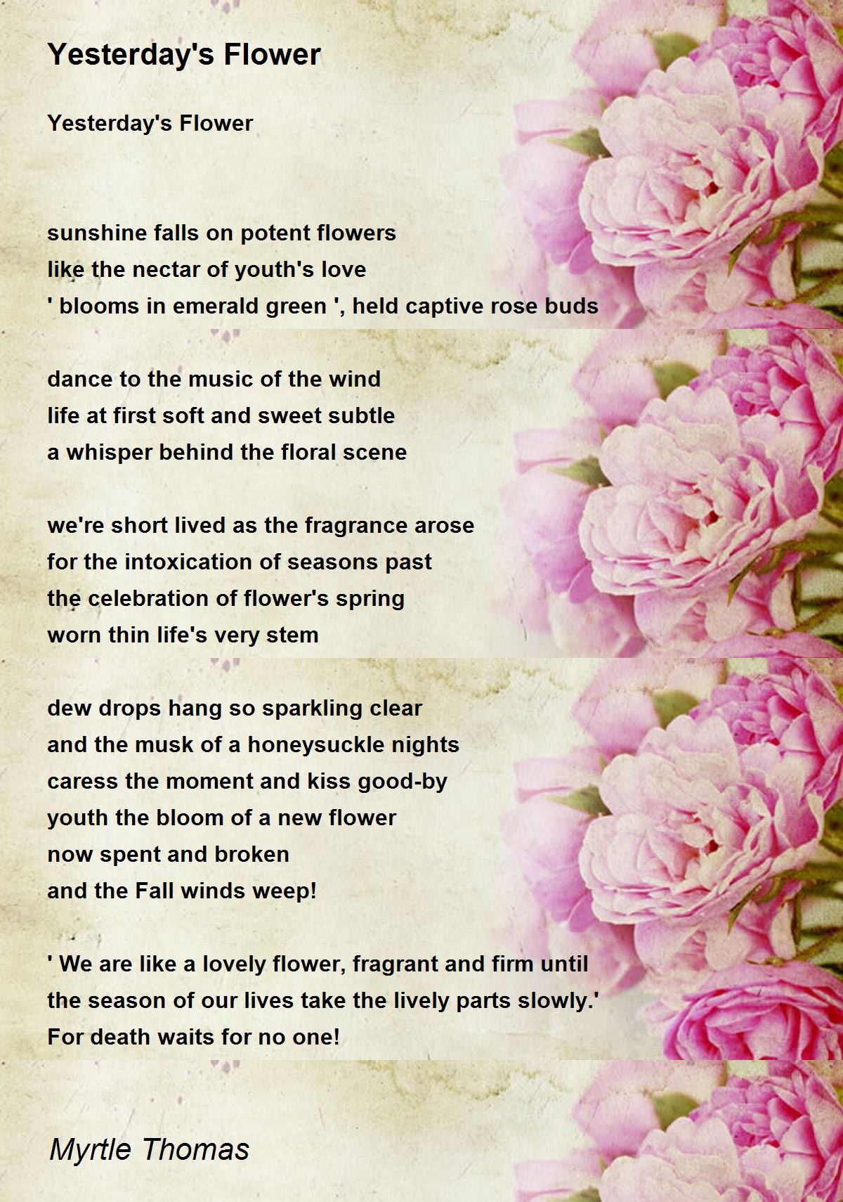Yesterday's Flower Yesterday's Flower Poem by Myrtle Thomas