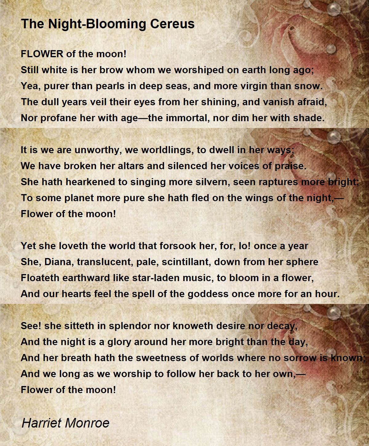 The NightBlooming Cereus The NightBlooming Cereus Poem by Harriet