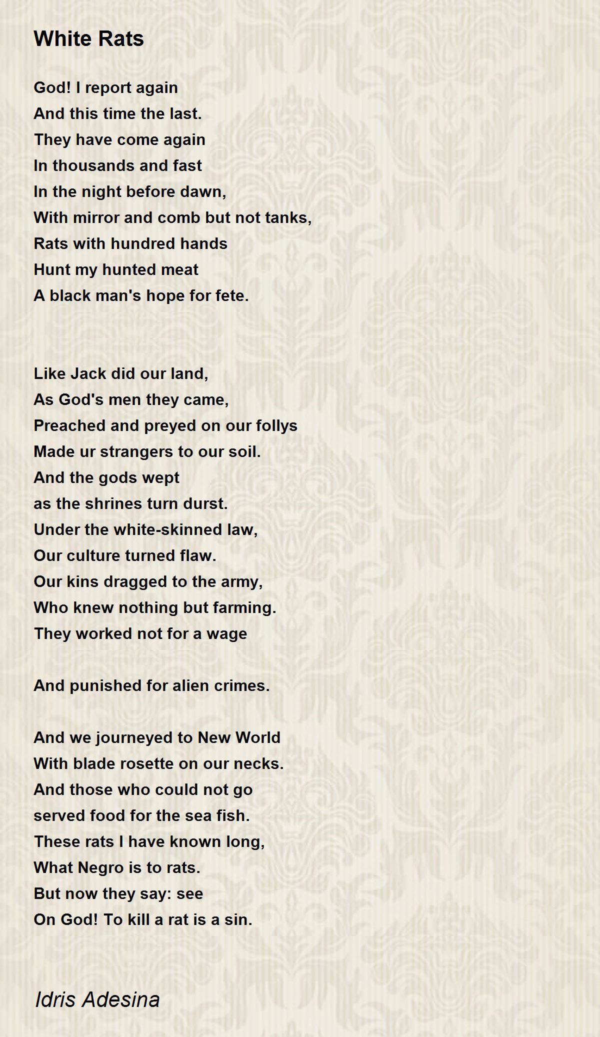 White Rats by Idris Adesina White Rats Poem