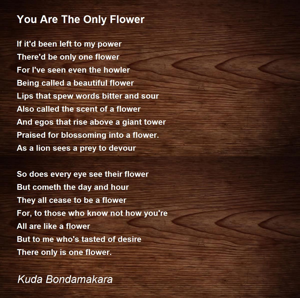 You Are The Only Flower You Are The Only Flower Poem by Kuda Bondamakara