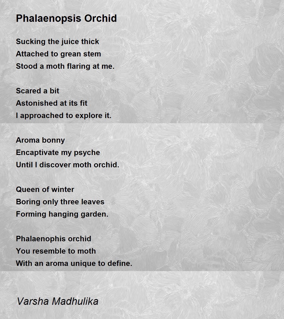 Phalaenopsis Orchid by Varsha M Phalaenopsis Orchid Poem