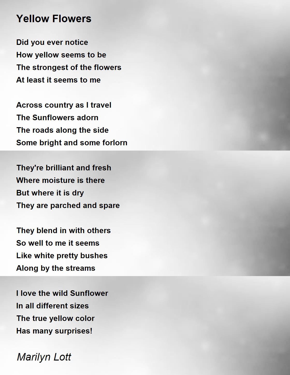 Yellow Flowers Yellow Flowers Poem by Marilyn Lott