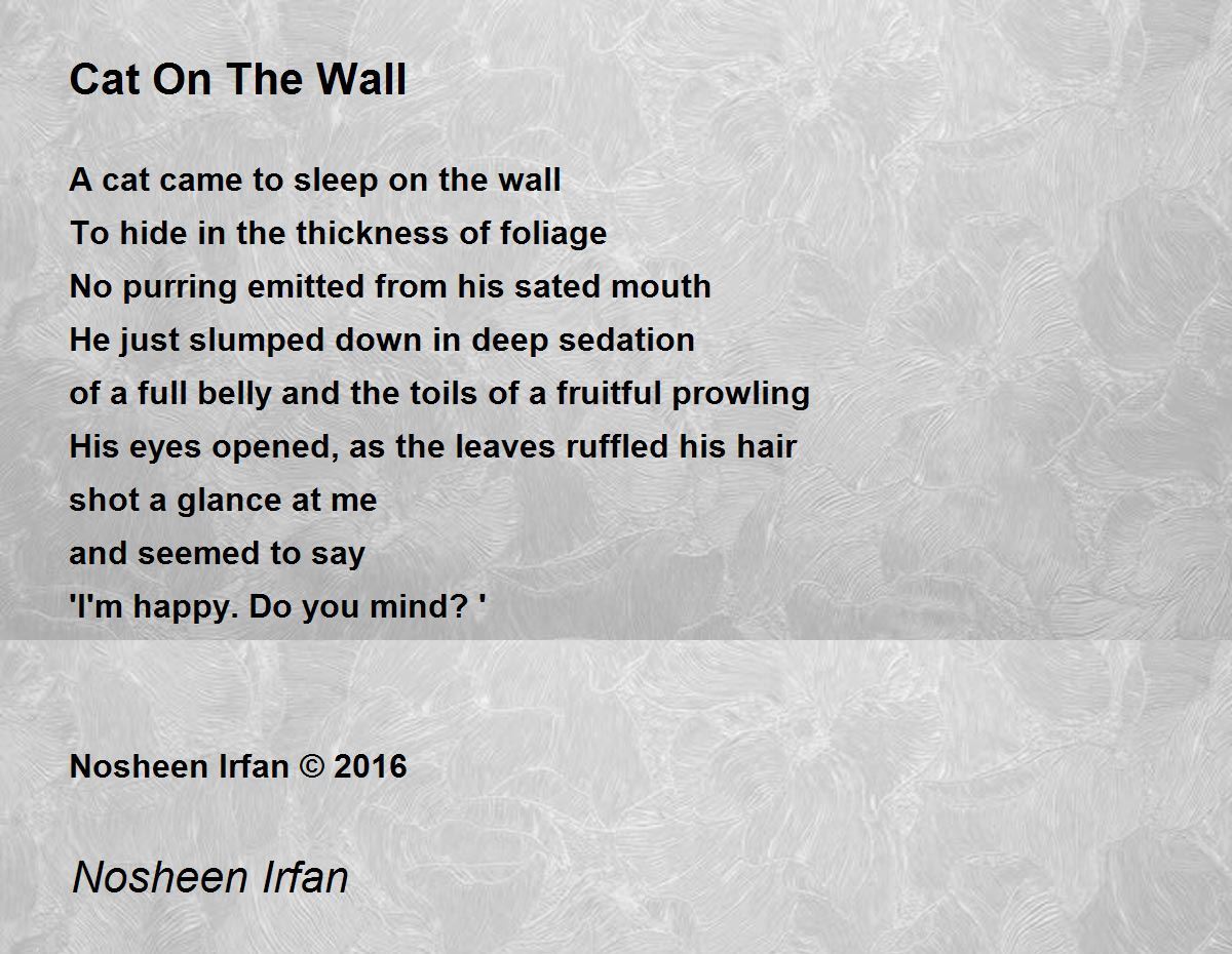 Cat On The Wall Cat On The Wall Poem by Nosheen Irfan