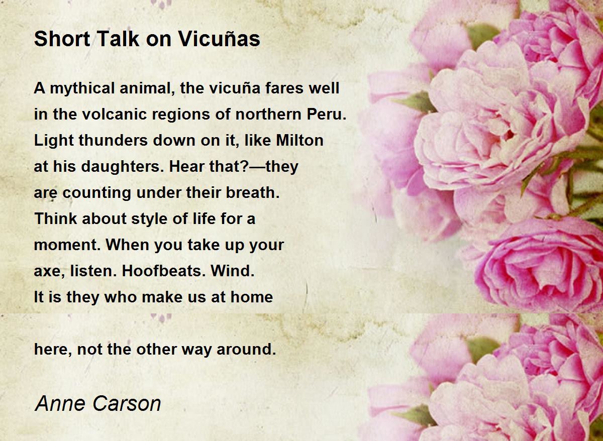 Short Talk on Vicuñas Poem by Anne Carson - Poem Hunter