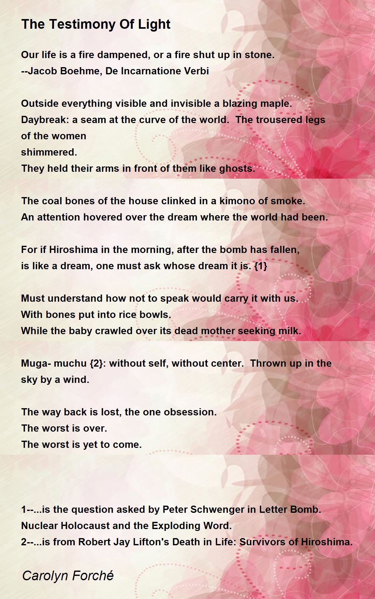 The colonel essay 05 picture