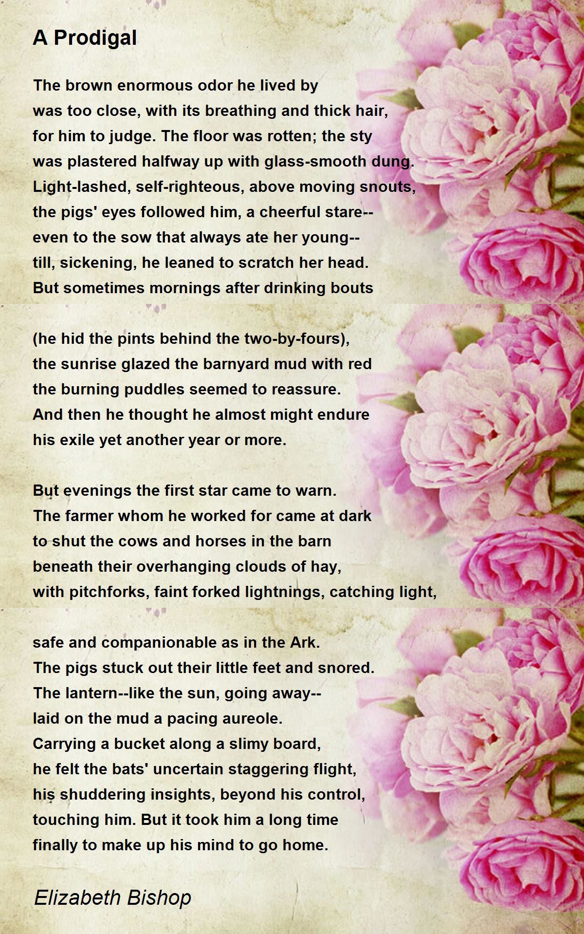 A Prodigal Poem by Elizabeth Bishop - Poem Hunter