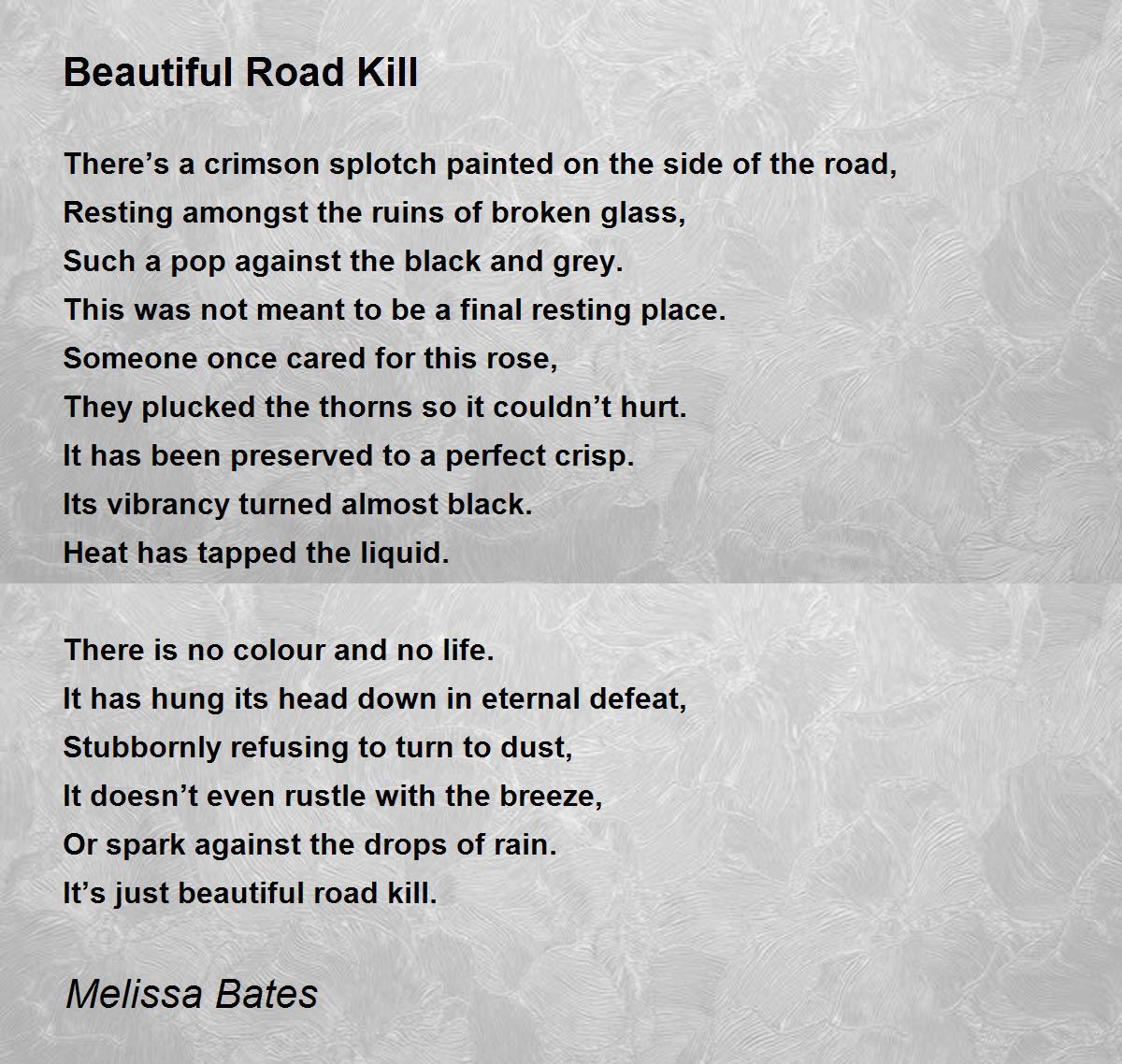 Beautiful Road Kill Beautiful Road Kill Poem by Melissa Bates