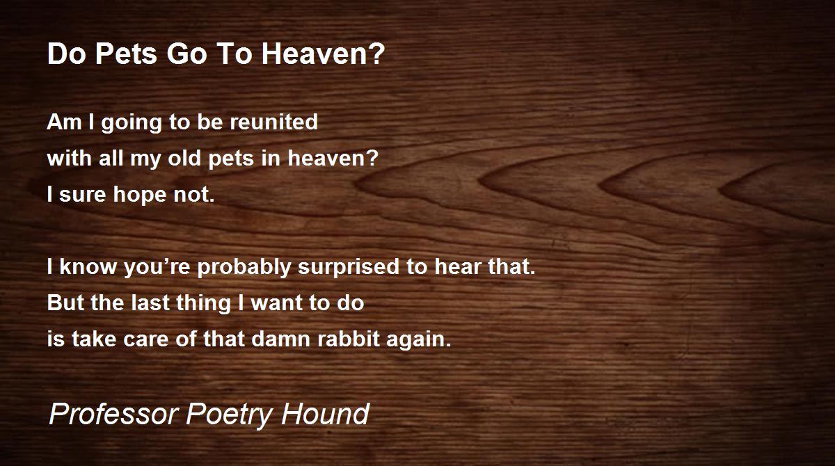Do Pets Go To Heaven? Poem by Professor Poetry Hound - Poem Hunter