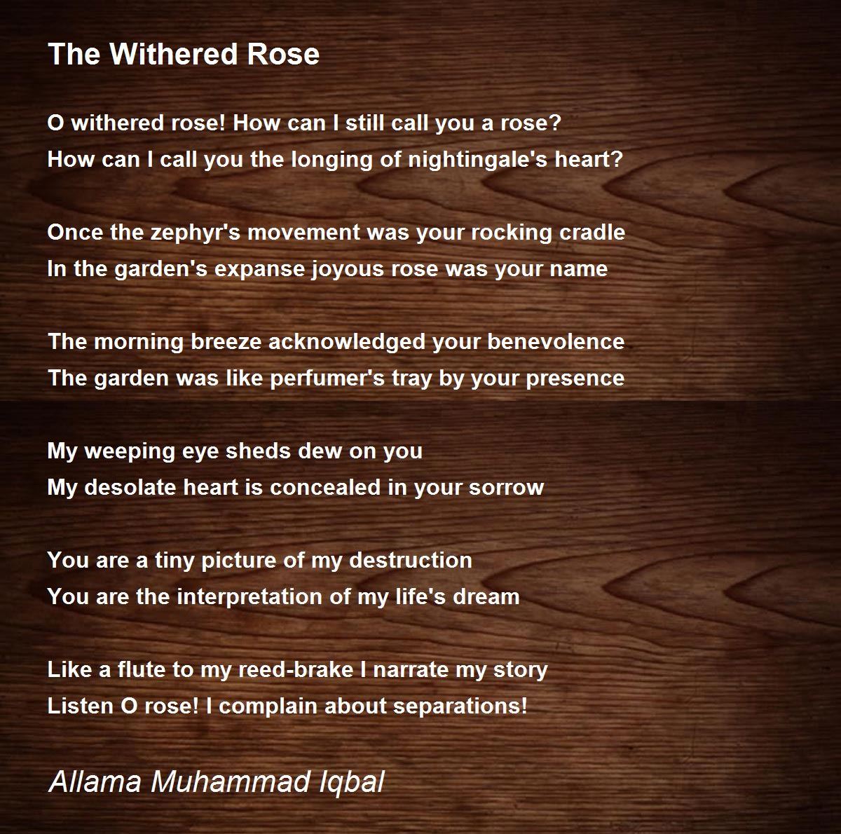 The Withered Rose The Withered Rose Poem by Allama Muhammad Iqbal