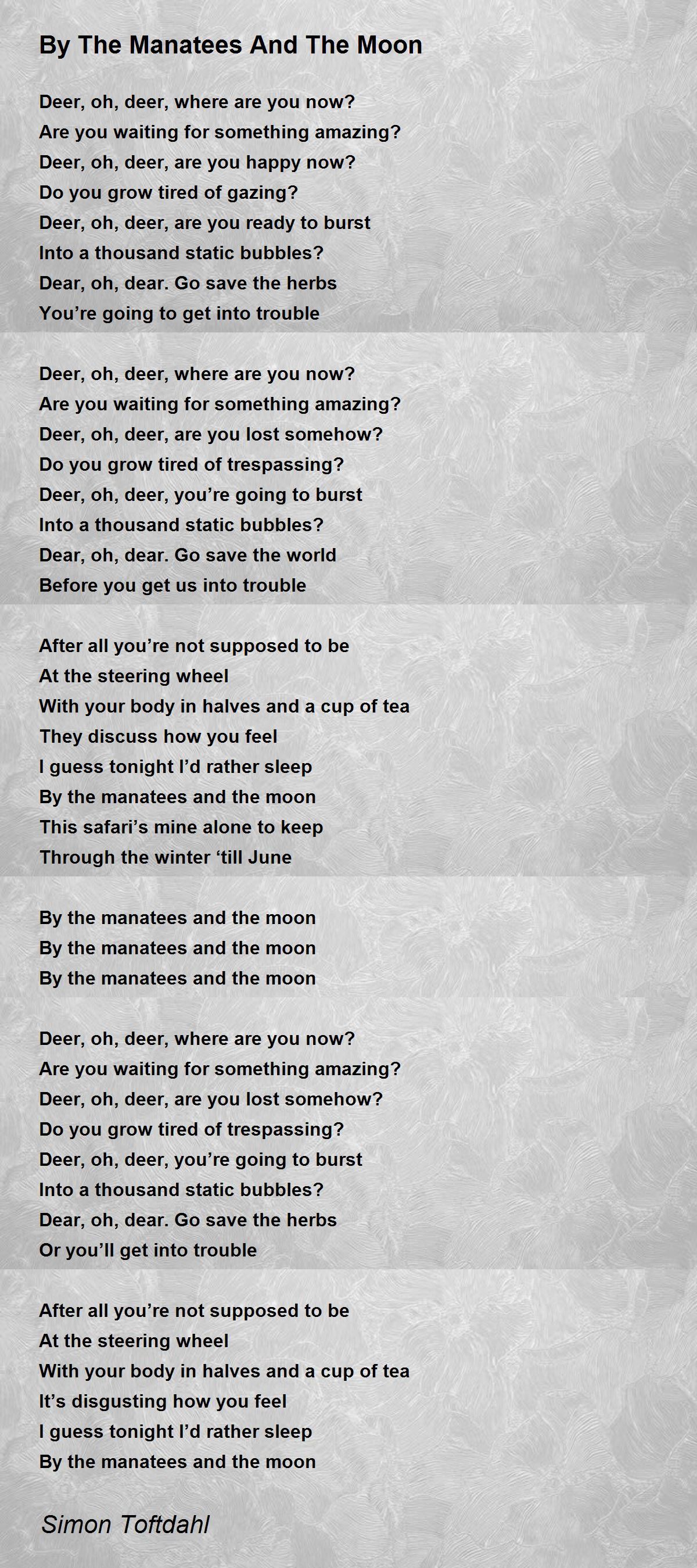 By The Manatees And The Moon - By The Manatees And The Moon Poem by