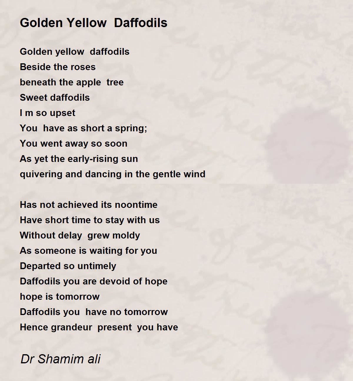 Golden Yellow Daffodils Golden Yellow Daffodils Poem by Dr Shamim ali