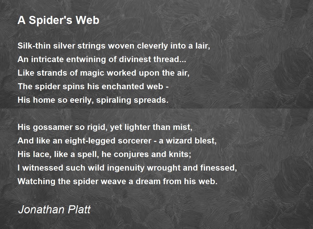 A Spider's  A Spider's  Poem by Jonathan Platt