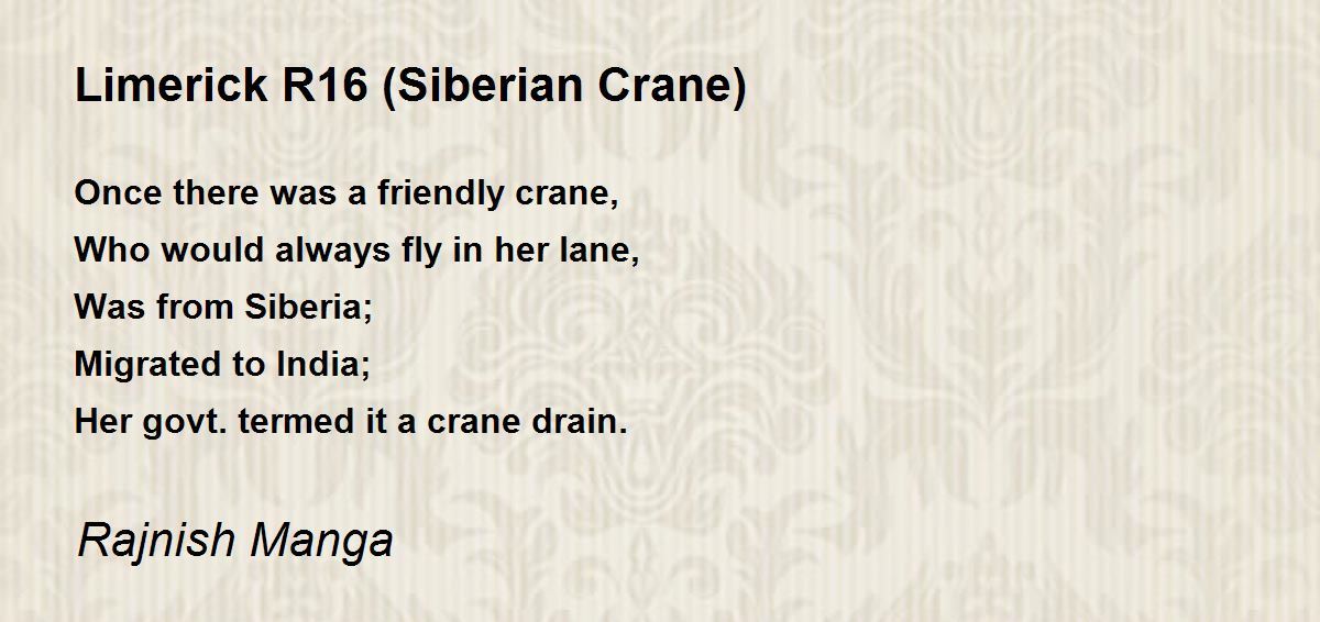 Limerick R16 Siberian Crane By Rajnish Manga Limerick R16 Siberian Crane Poem