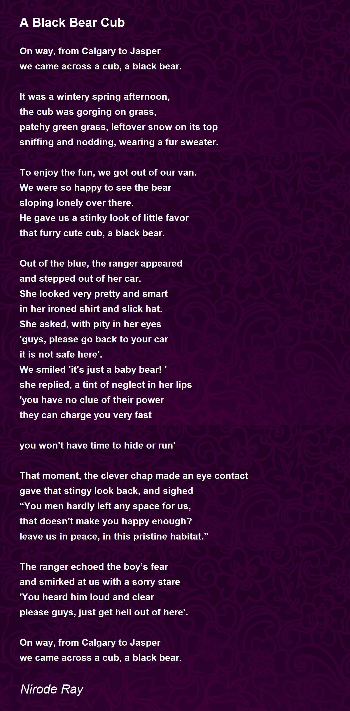A Black Bear Cub A Black Bear Cub Poem By Nirode Ray