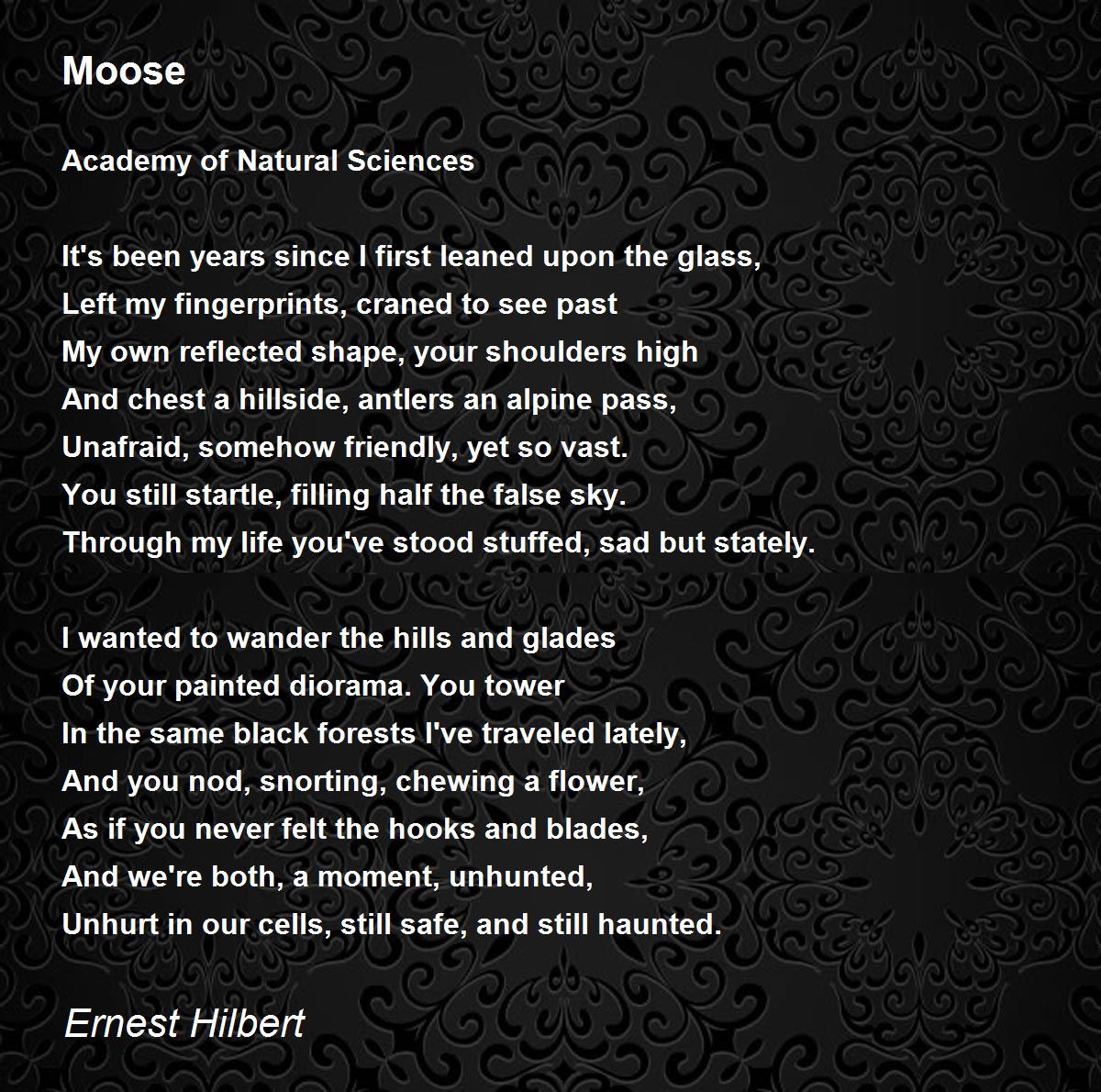 Moose Moose Poem by Ernest Hilbert