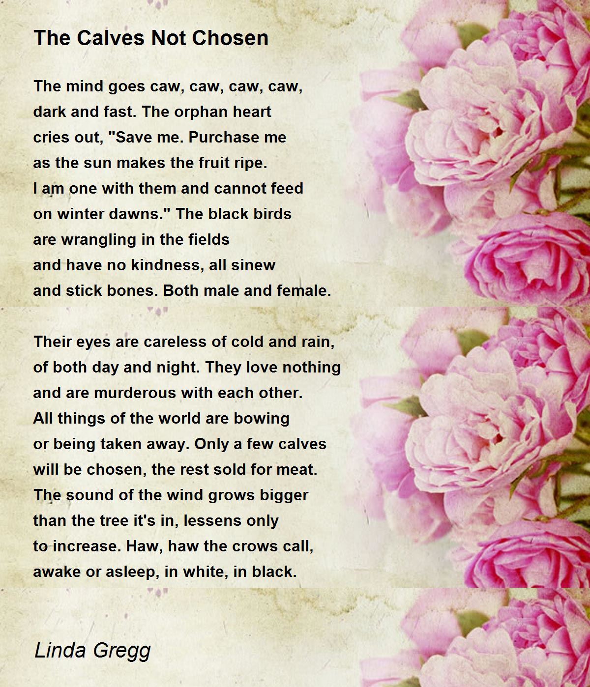 The Calves Not Chosen The Calves Not Chosen Poem by Linda Gregg