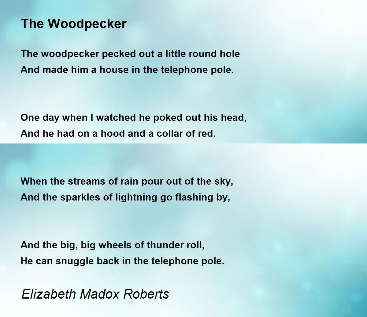 The Woodpecker - The Woodpecker Poem by Elizabeth Madox Roberts