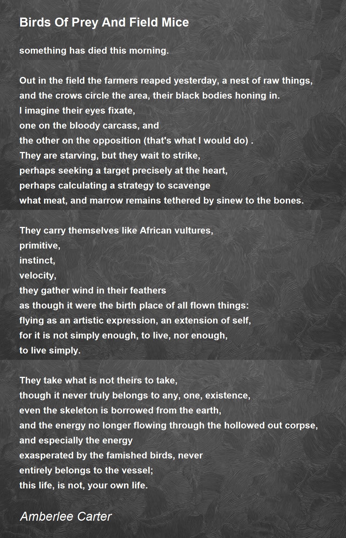 Birds Of Prey And Field Mice Birds Of Prey And Field Mice Poem by