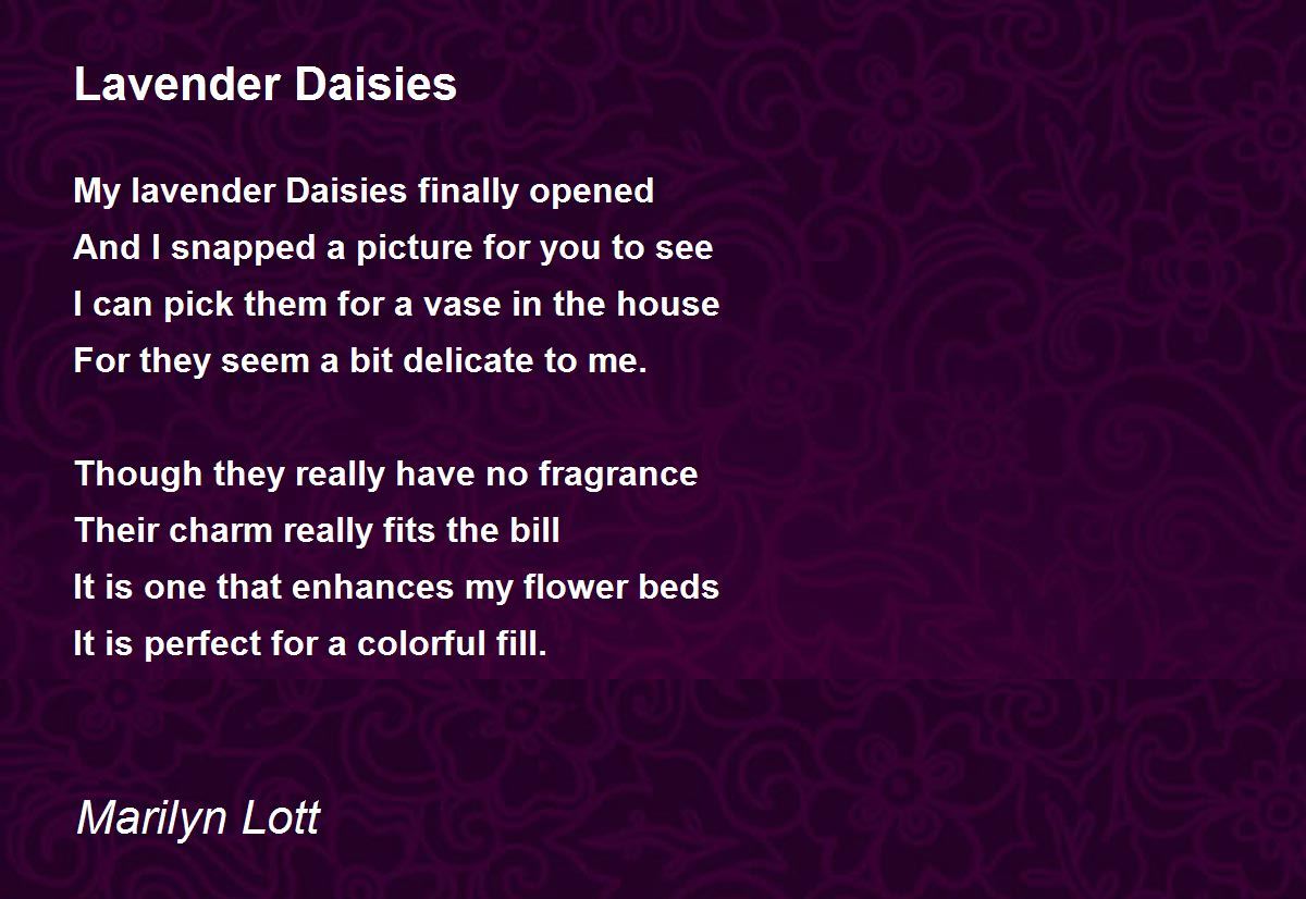 Lavender Daisies Poem by Marilyn Lott - Poem Hunter