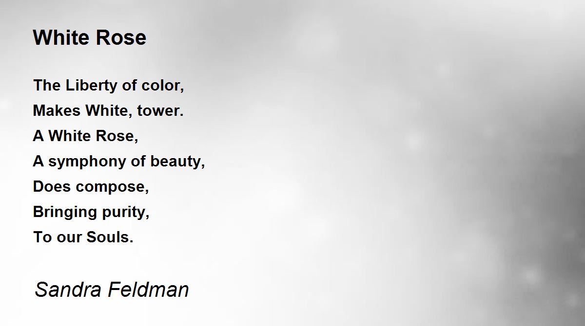 White Rose by Sandra Feldman White Rose Poem