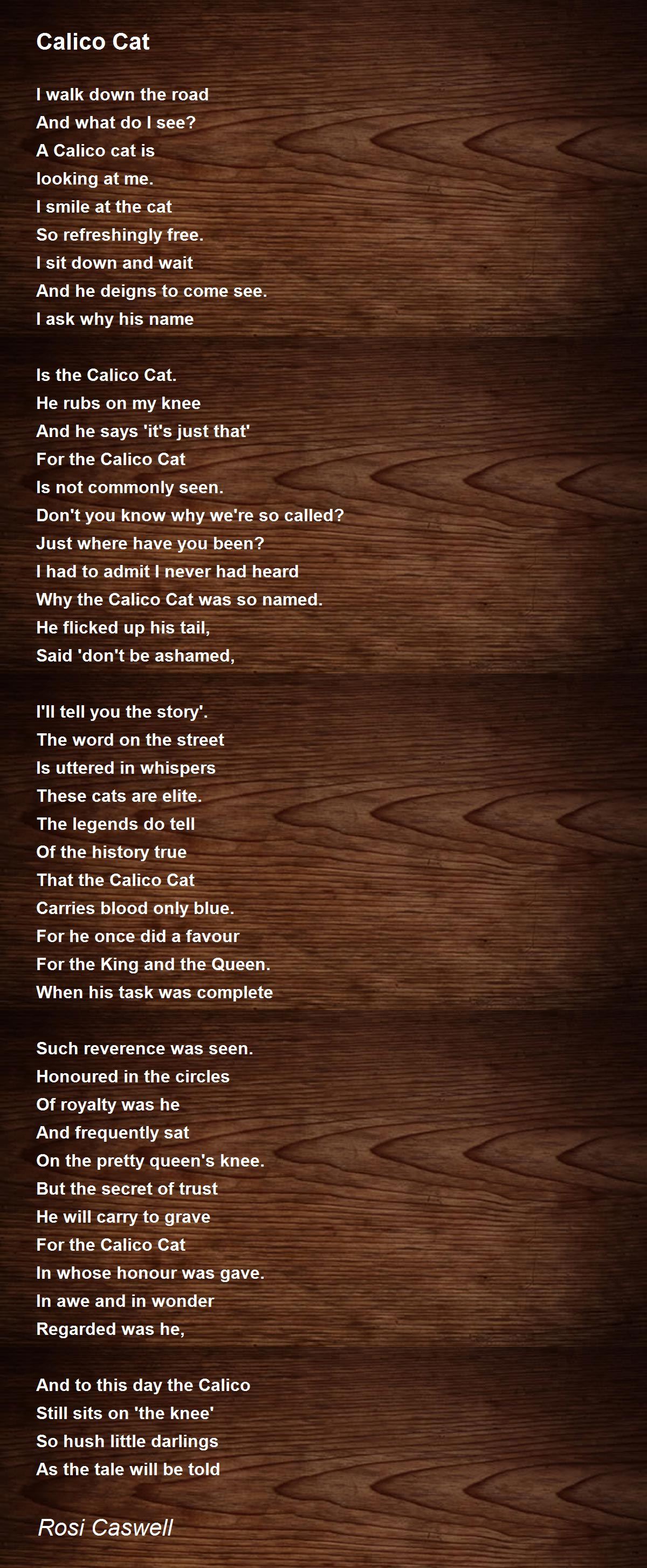 Calico Cat Poem by Rosi Caswell Poem Hunter