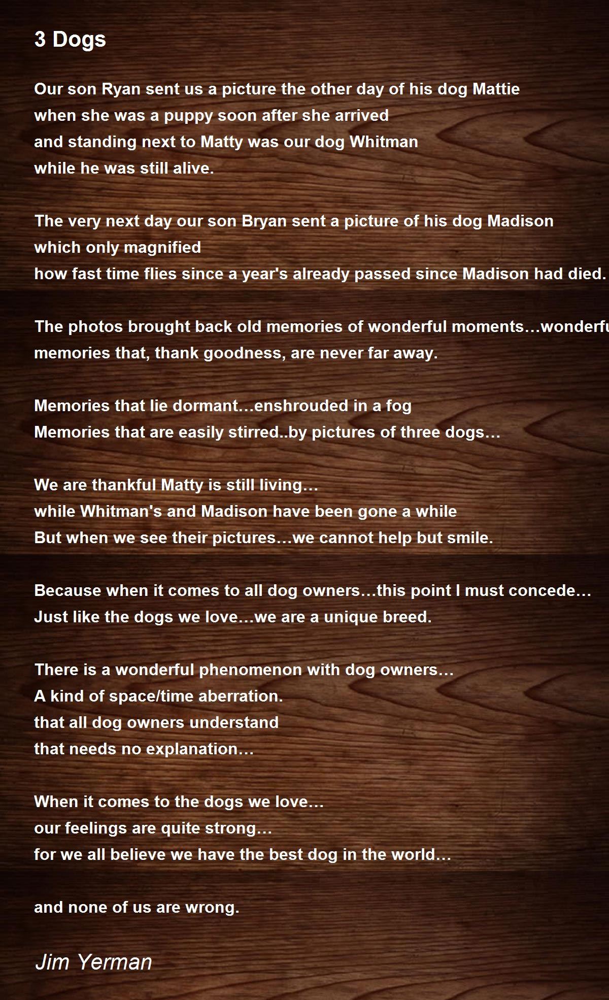 3 Dogs 3 Dogs Poem by Jim Yerman