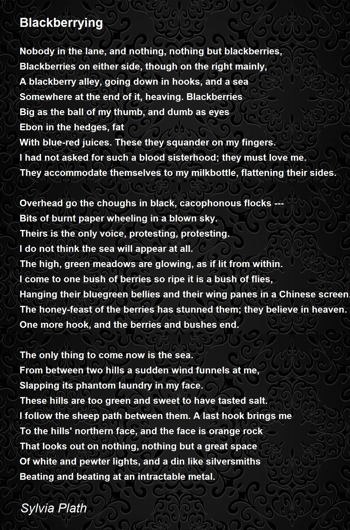 Blackberrying Blackberrying Poem by Sylvia Plath