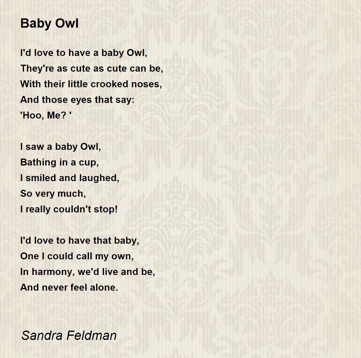 Baby Owl Baby Owl Poem by Sandra Feldman