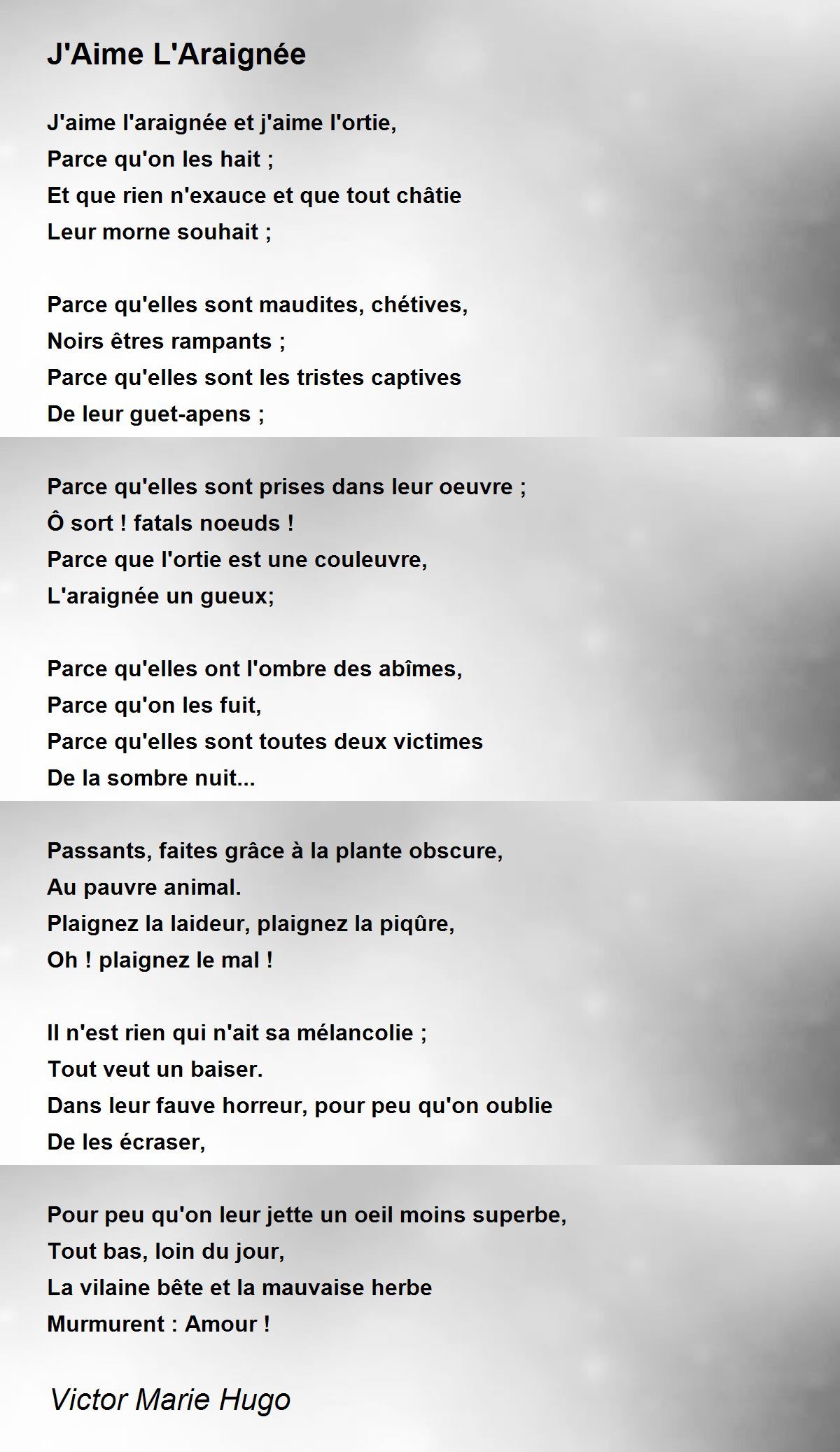 J'aime L'araignée Et J'aime L'ortie Texte