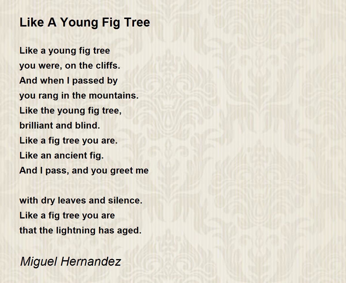 Like A Young Fig Tree Like A Young Fig Tree Poem by Miguel Hernandez