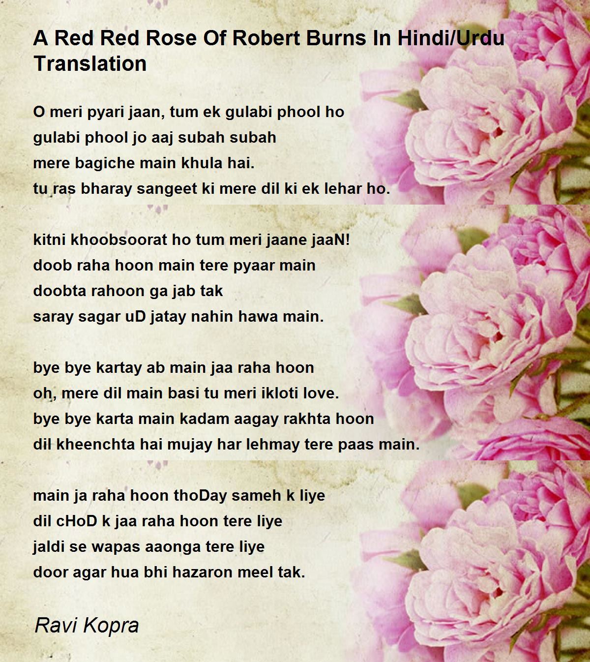 A Red Red Rose Of Robert Burns In Hindi/Urdu Translation A Red Red