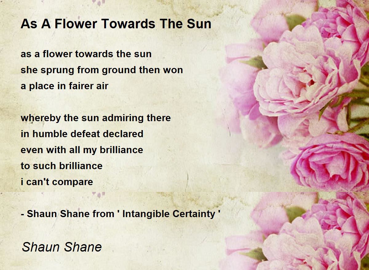 As A Flower Towards The Sun Poem by Shaun Shane Poem Hunter