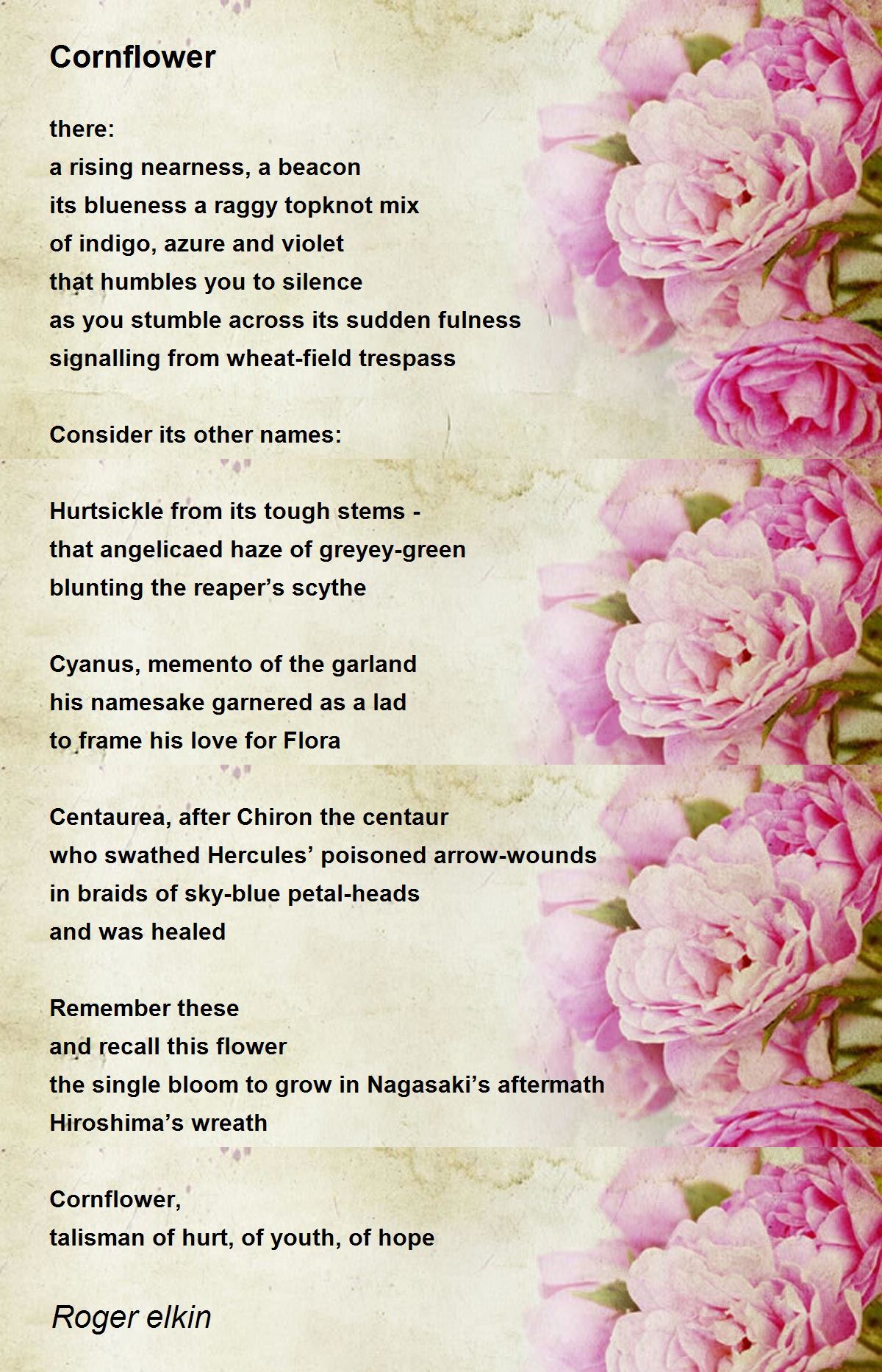 Cornflower Cornflower Poem by Roger elkin