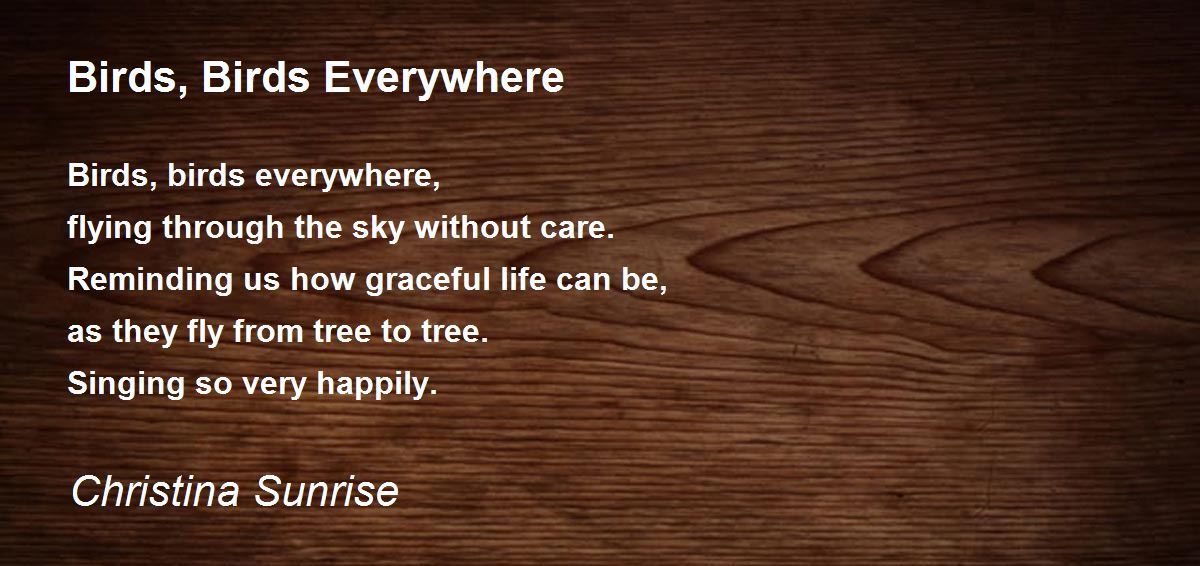 Birds, Birds Everywhere Birds, Birds Everywhere Poem by Christina Sunrise