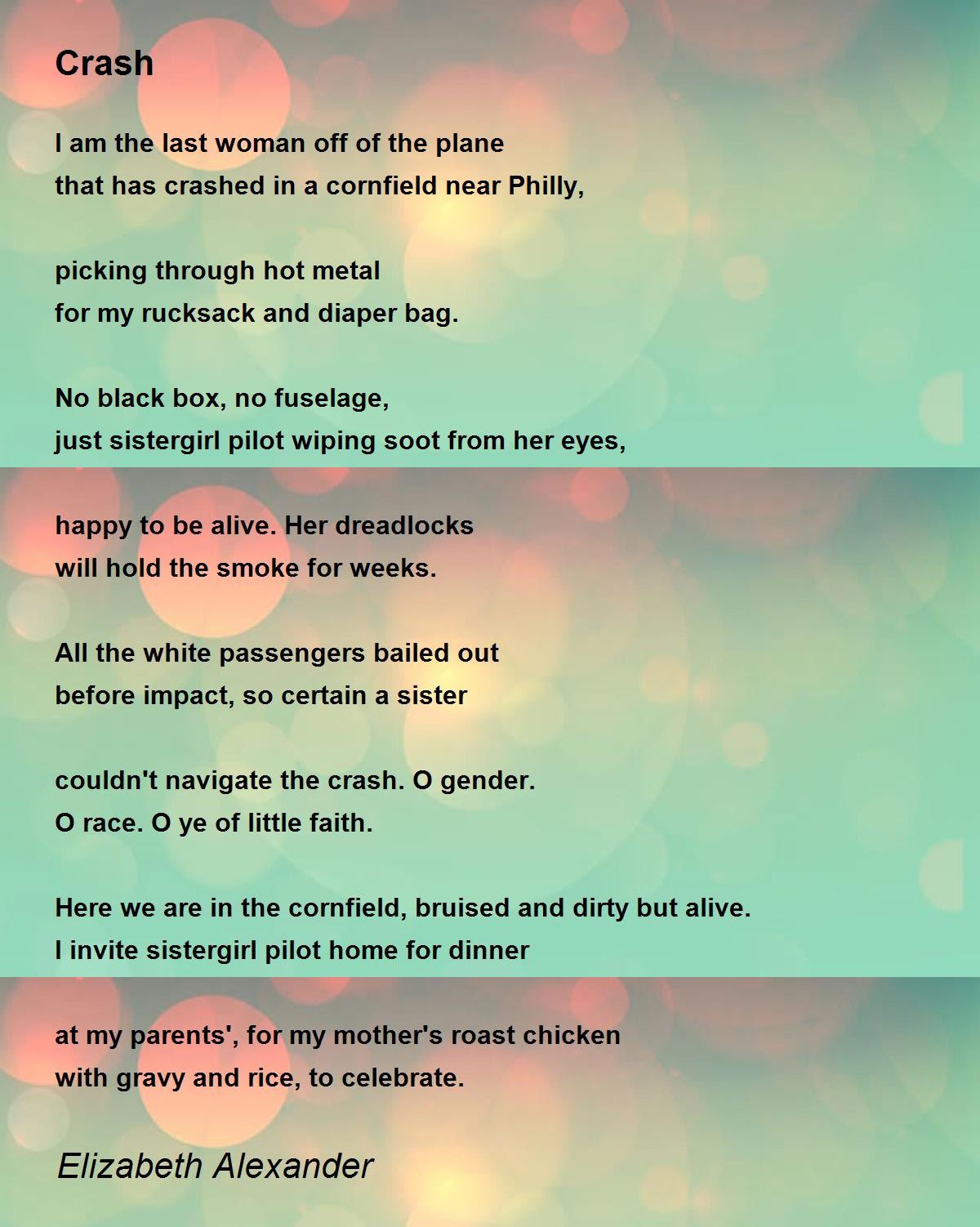 Crash Crash Poem by Elizabeth Alexander