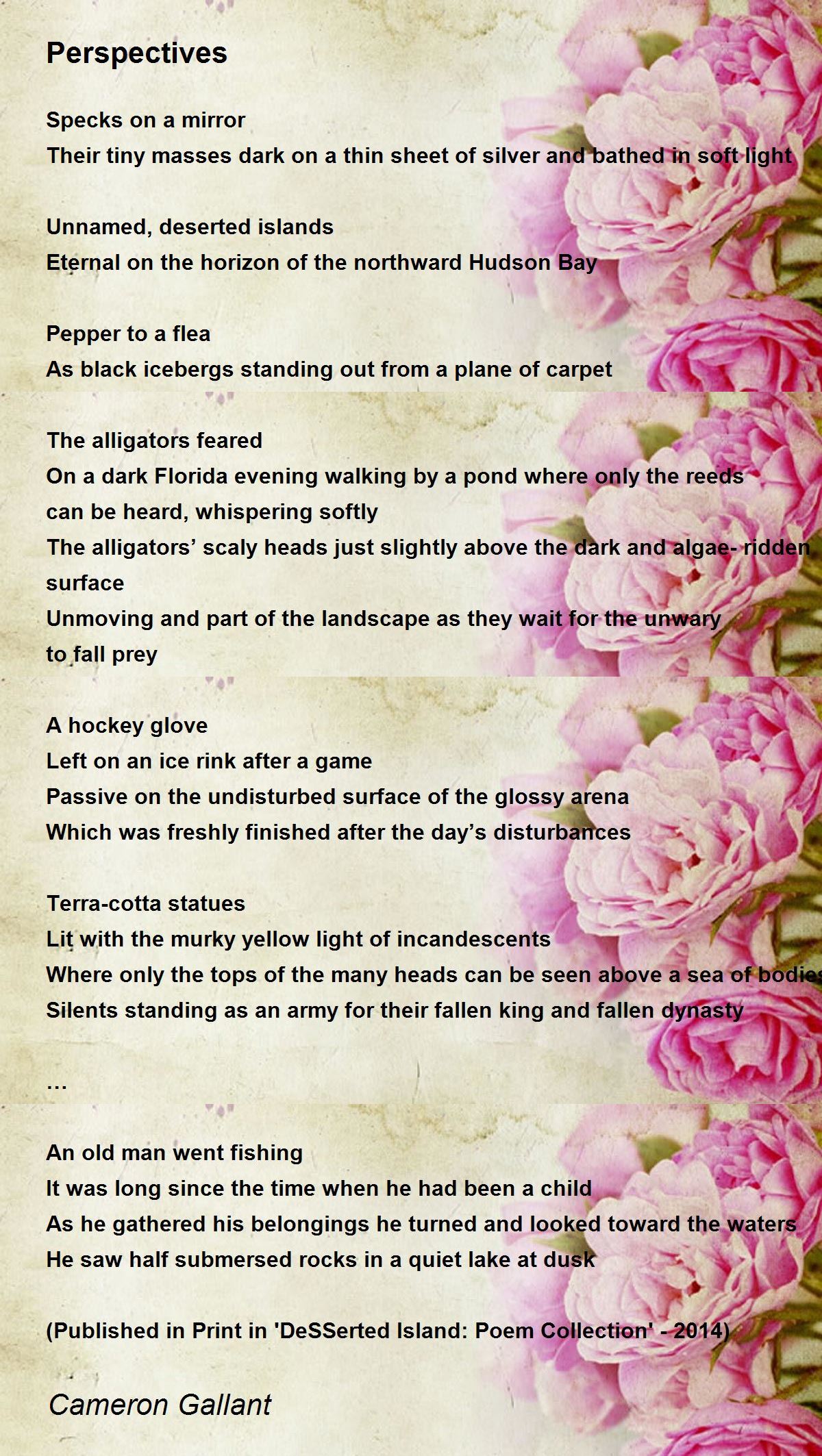 Perspectives Poem by Cameron Gallant - Poem Hunter