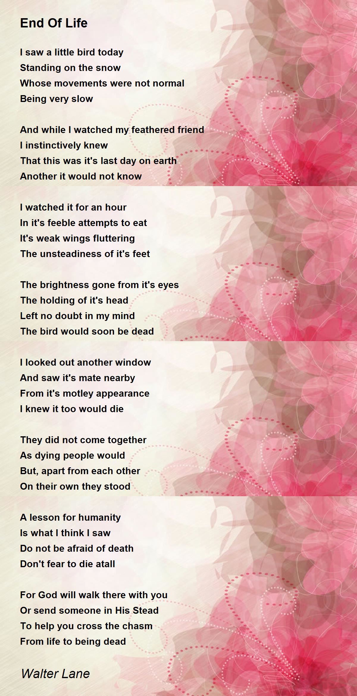 End Of Life End Of Life Poem by Walter Lane