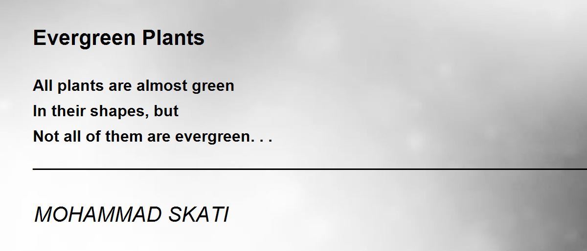 Evergreen Plants Evergreen Plants Poem by MOHAMMAD SKATI