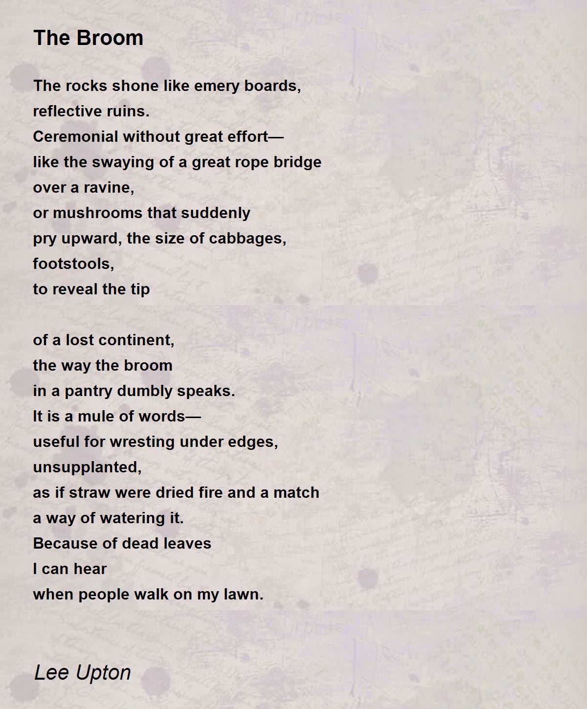 The Broom The Broom Poem by Lee Upton