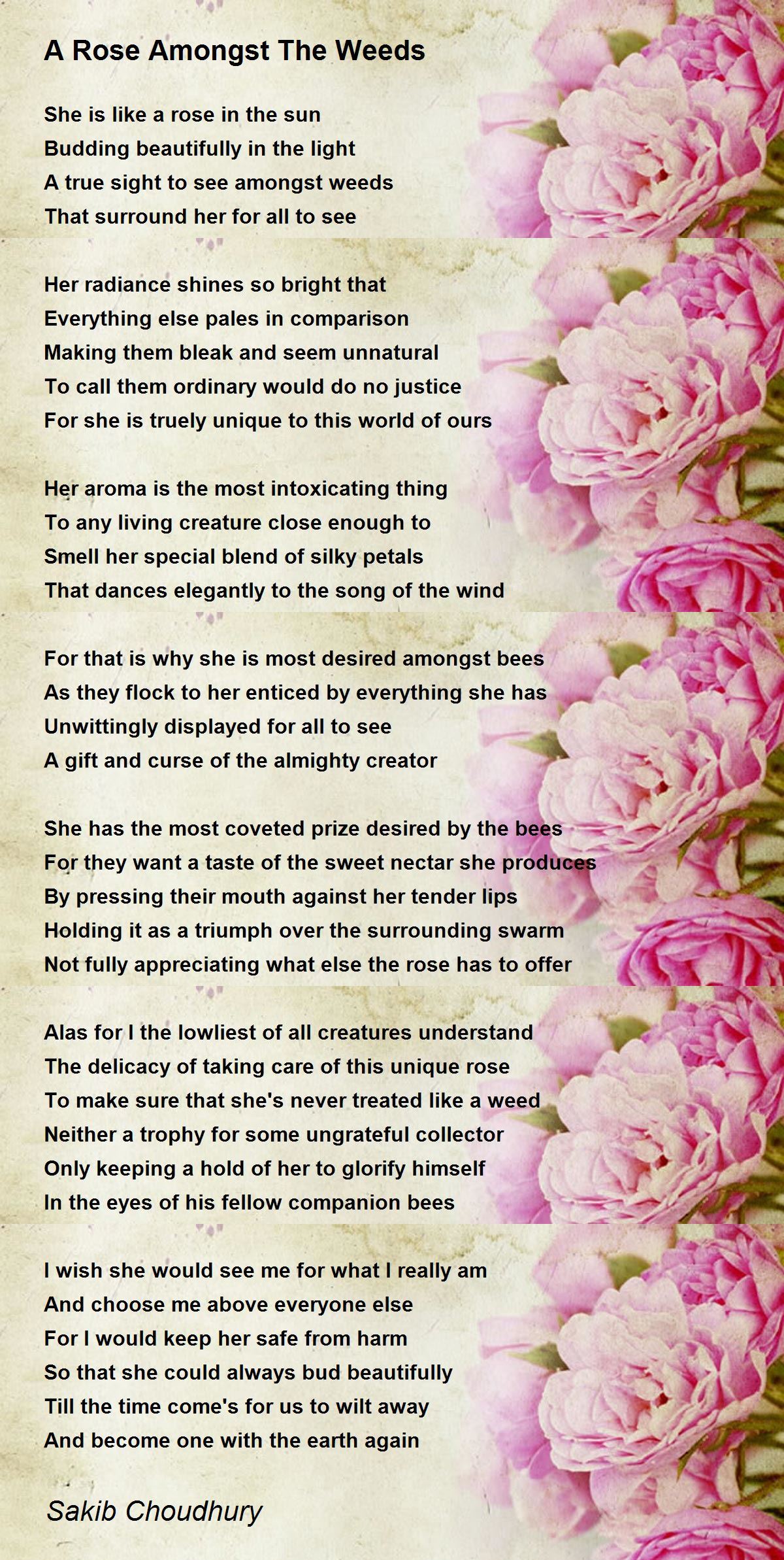 A Rose Amongst The Weeds A Rose Amongst The Weeds Poem by Sakib Choudhury