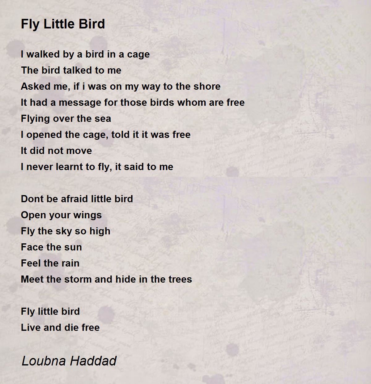 Fly Little Bird Fly Little Bird Poem by Loubna Haddad
