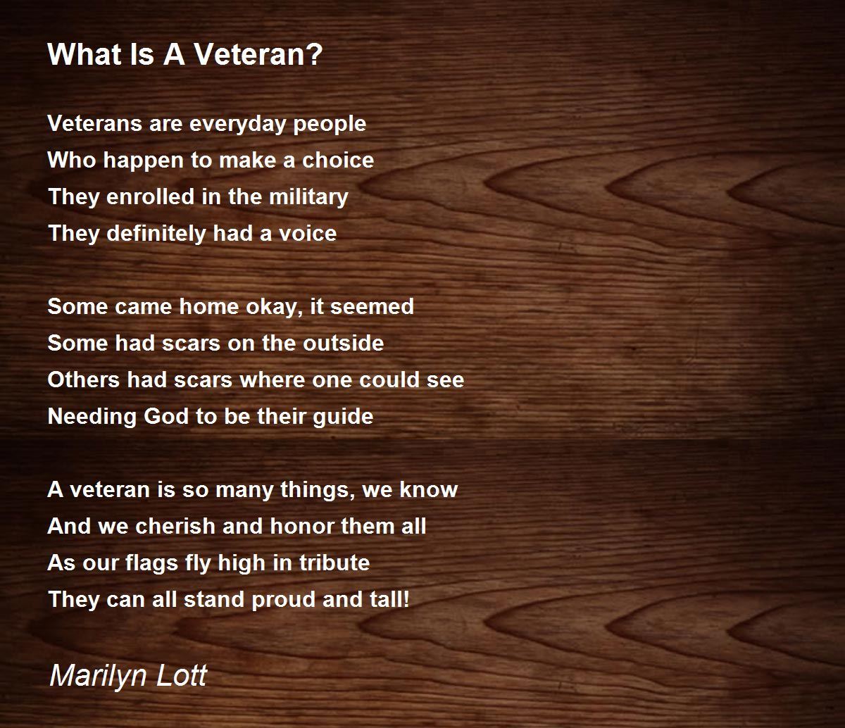 essay about a veteran