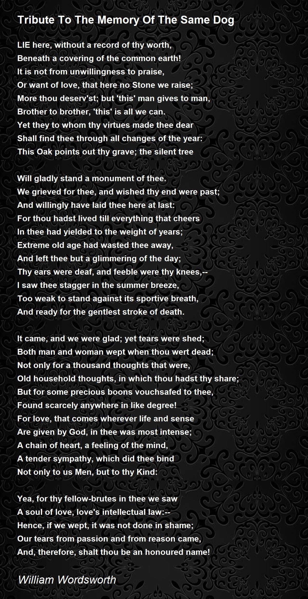 Tribute To The Memory Of The Same Dog Tribute To The Memory Of The