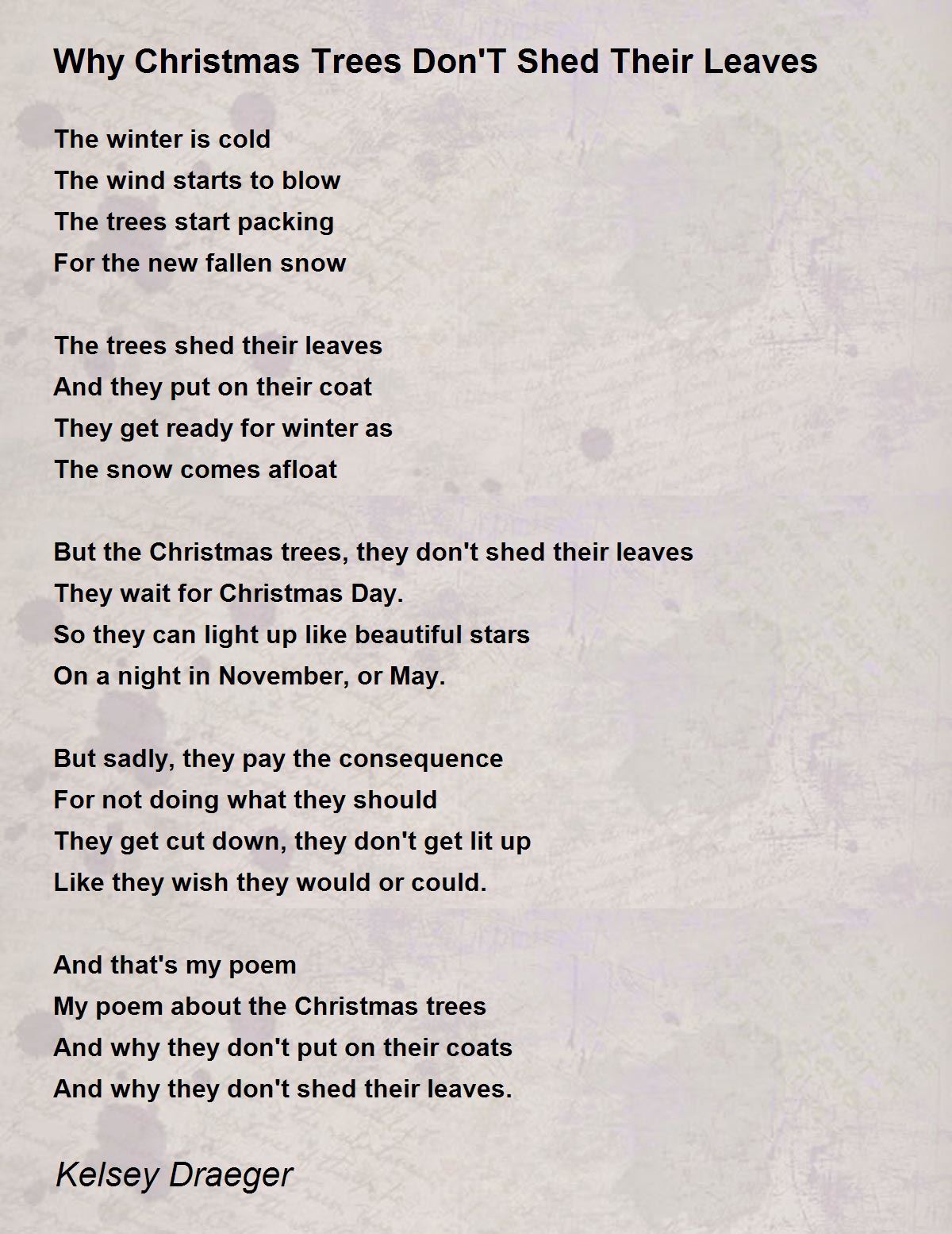 Why Christmas Trees Don'T Shed Their Leaves Why Christmas Trees Don'T