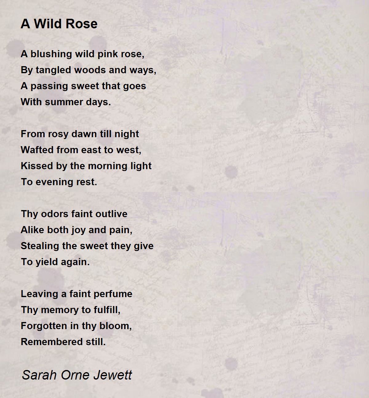 A Wild Rose A Wild Rose Poem by Sarah Orne Jewett