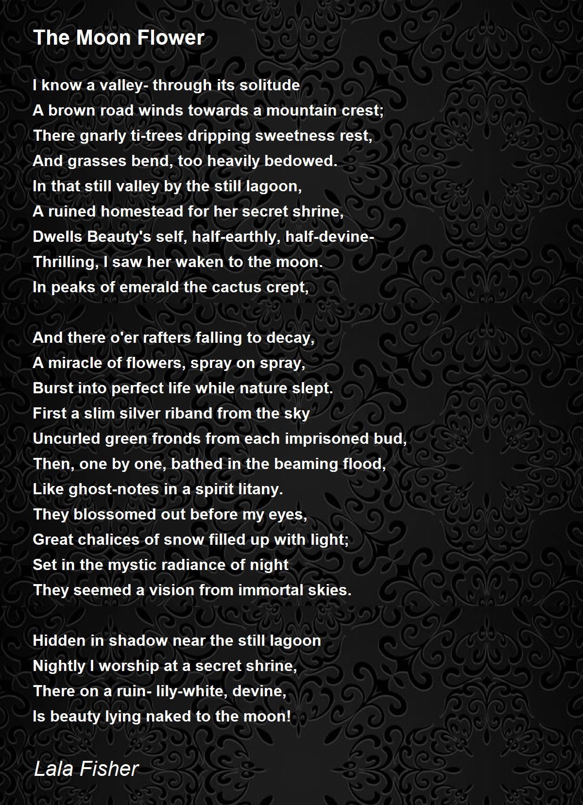 The Moon Flower The Moon Flower Poem by Lala Fisher