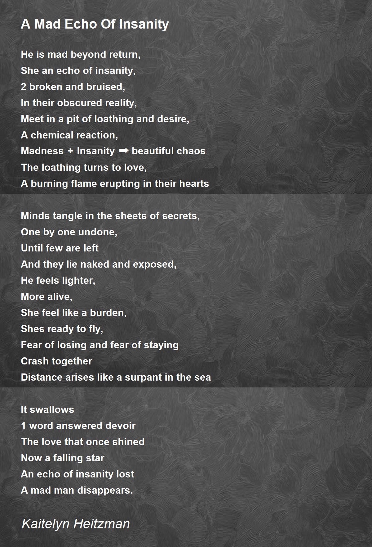 A Mad Echo Of Insanity by Kaitelyn Heitzman - A Mad Echo Of Insanity Poem