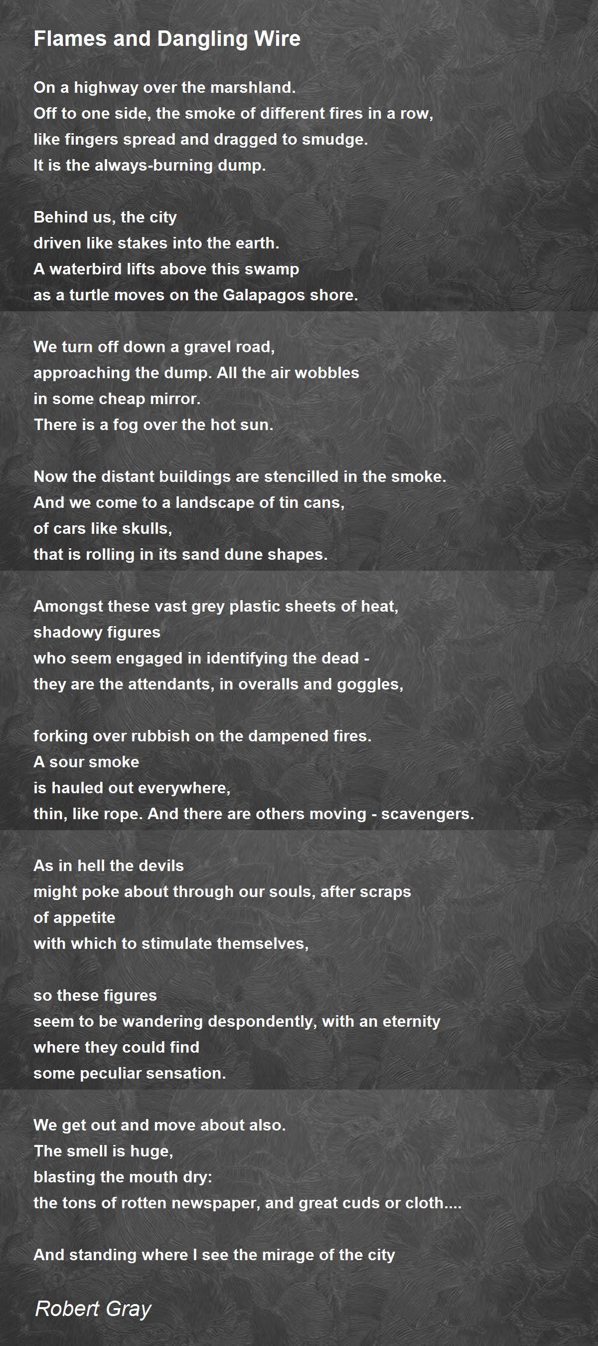 Dangling wires and meatworks poetry essay picture