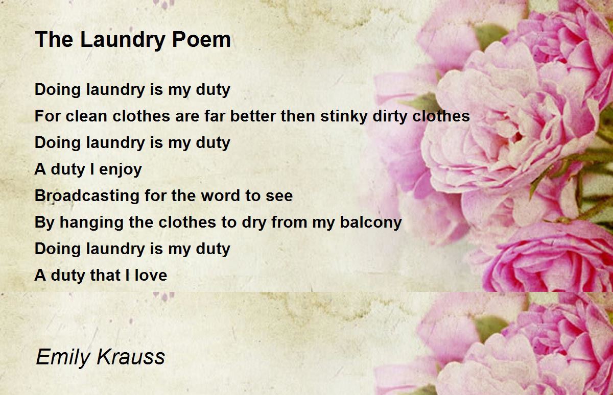 The Laundry Poem The Laundry Poem Poem by Emily Krauss