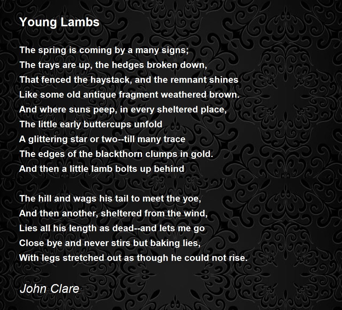 Young Lambs Poem by John Clare - Poem Hunter